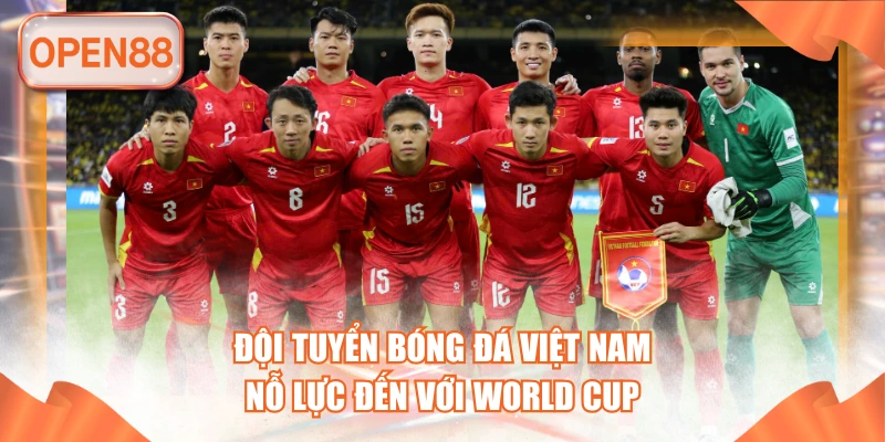 Đội Tuyển Bóng Đá Việt Nam - Nỗ Lực Đến Với World Cup